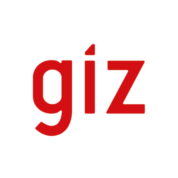 Deutsche Gesellschaft für Internationale Zusammenarbeit (GIZ) GmbH logo