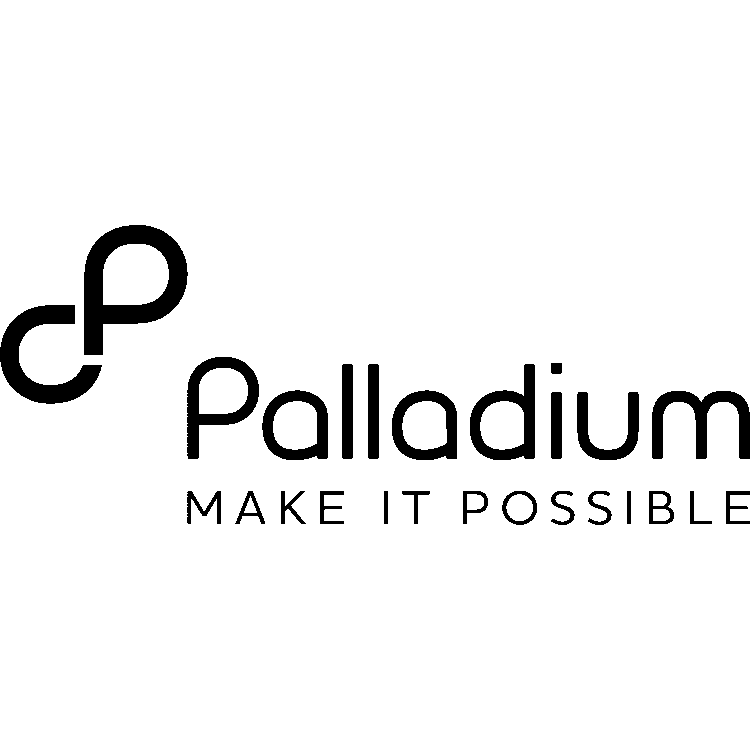 The Palladium Group logo